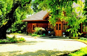 Dwor Trzesniow - Agroturystyka Podkarpacie (11)