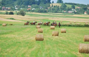 Jazda konna Podkarpacie -Brzozow (14)