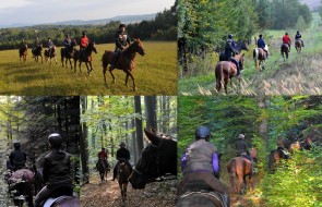 Jazda konna Podkarpacie -Brzozow (37)
