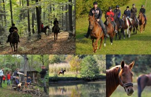 Jazda konna Podkarpacie -Brzozow (38)