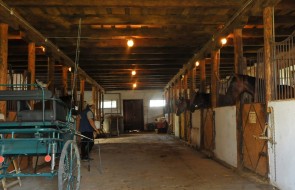 Agroturystyka Podkarpacie (14)