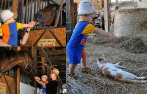Agroturystyka Podkarpacie (17)