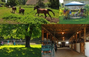 Agroturystyka Podkarpacie (19)